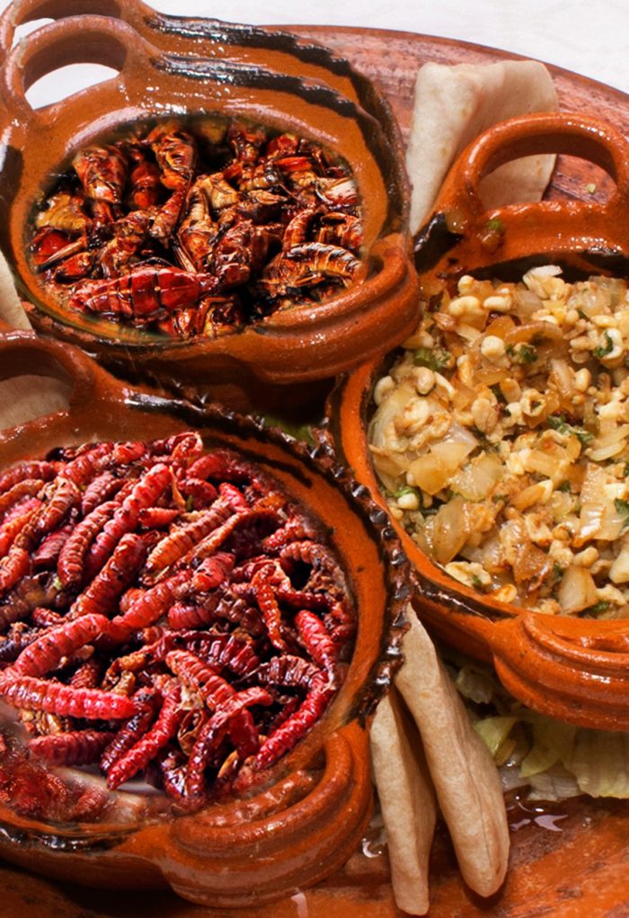 Teotihuacan-gastronomia-gusanos