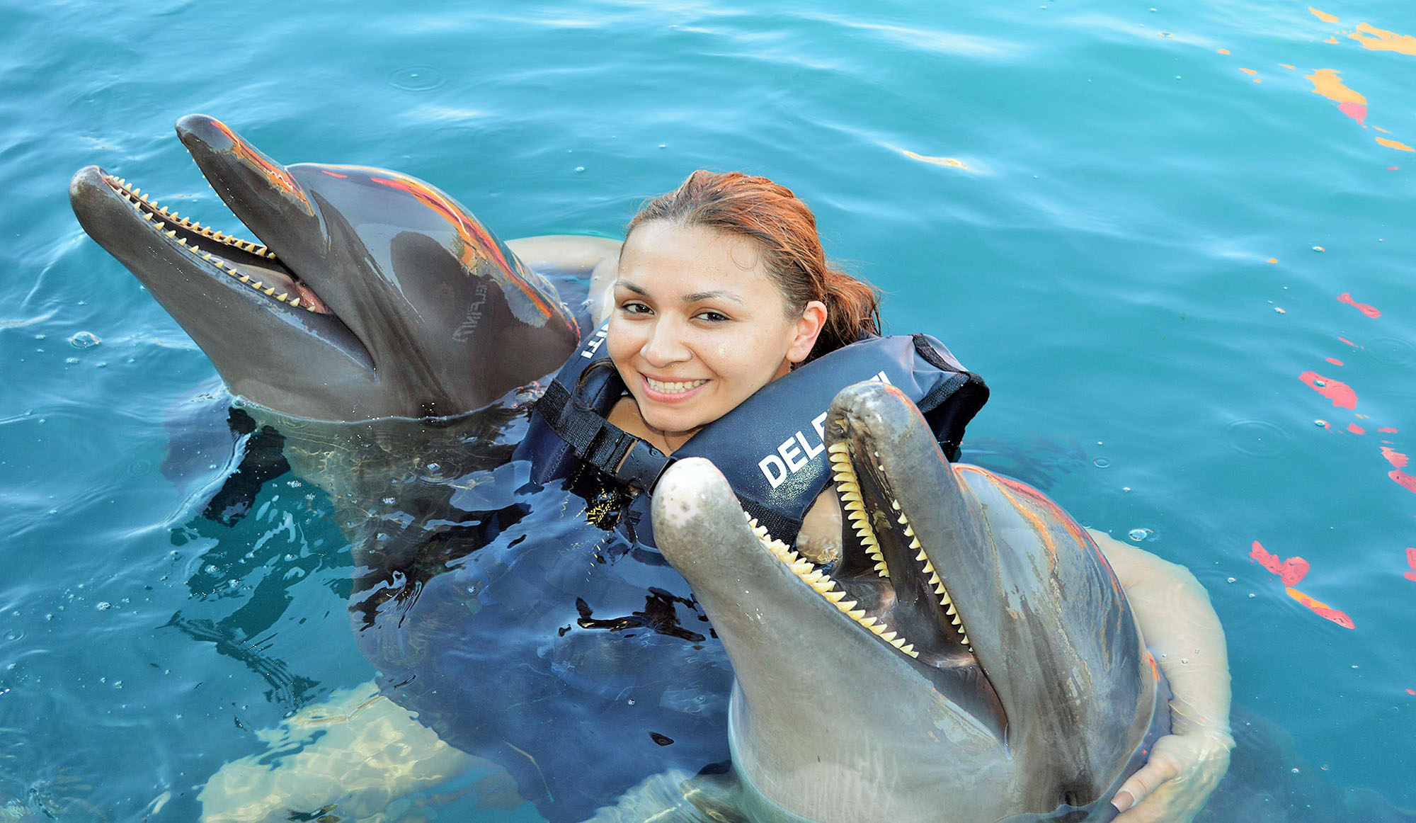 Delfiniti de Mexico