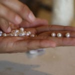 Visita una granja de perlas