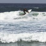 Aprende Surf y practícalo en las Playas de Rosarito
