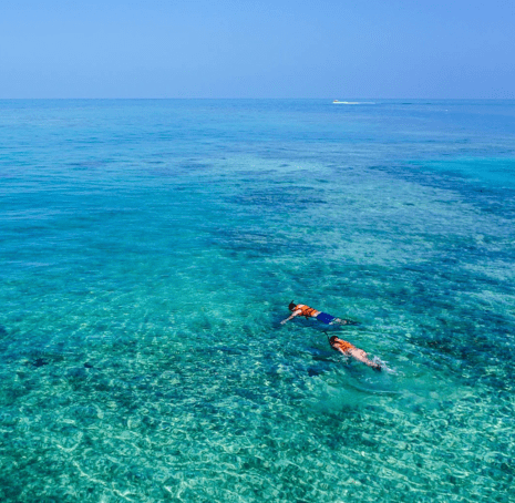 Exclusive Sailing Cozumel-Tours-Snorkeling